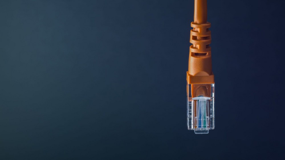 Close-up of orange ethernet cable. 